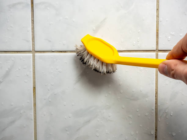Best Emergency Mold Remediation in Germantown, IL