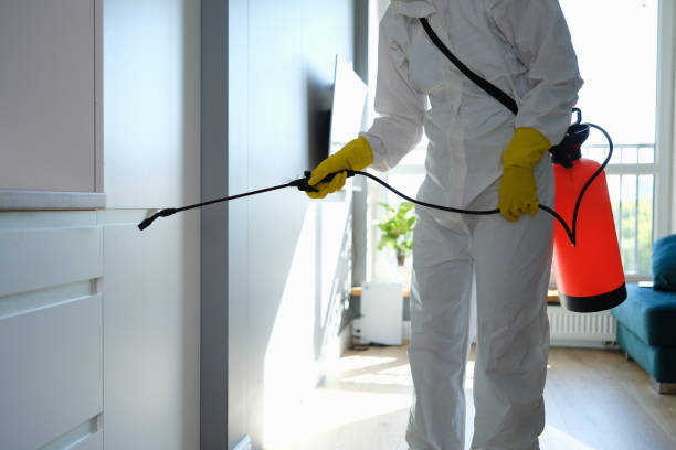 Best Residential Mold Remediation in Germantown, IL