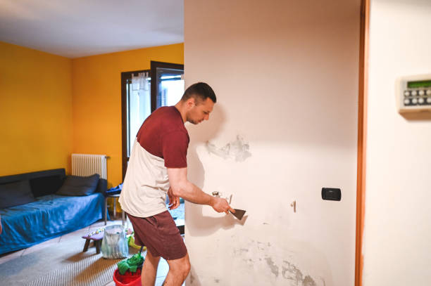 Best Attic Mold Remediation in Germantown, IL